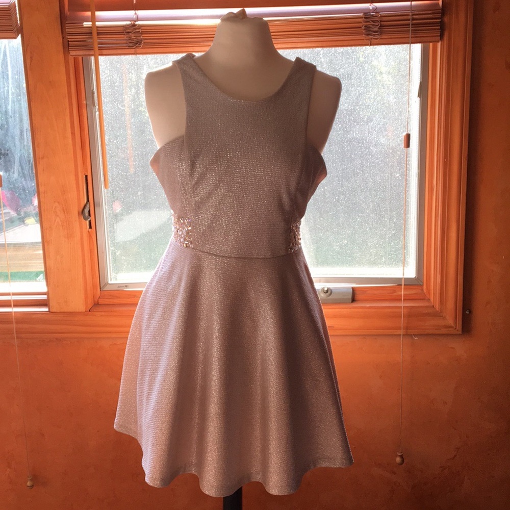 A sliver dress size 13